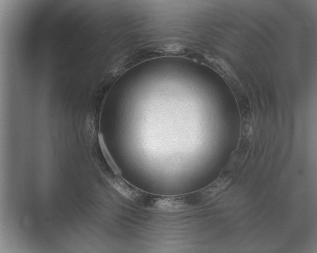 X0000073410568200608041001