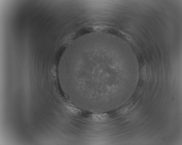 X0000073410571200608041001