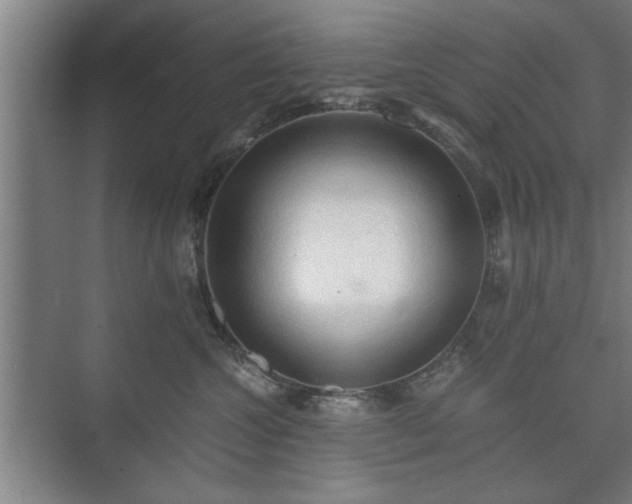 X0000073410572200608041001