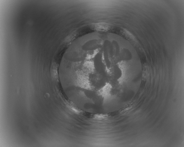 X0000073410573200608041001