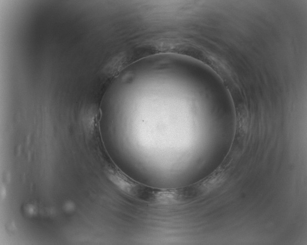 X0000073410574200608041001