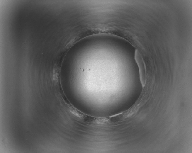 X0000073410576200608041001