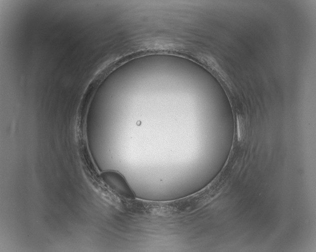 X0000073410579200608041001