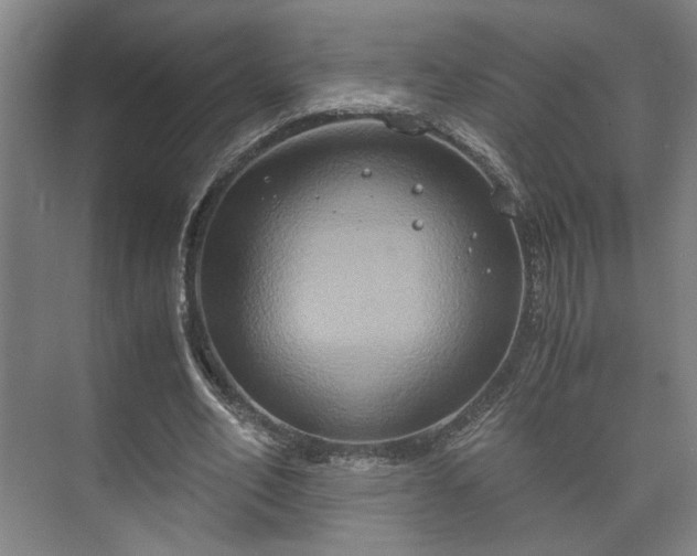 X0000073410582200608041000