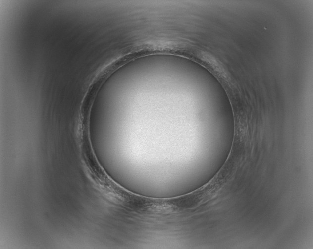 X0000073410583200608041000