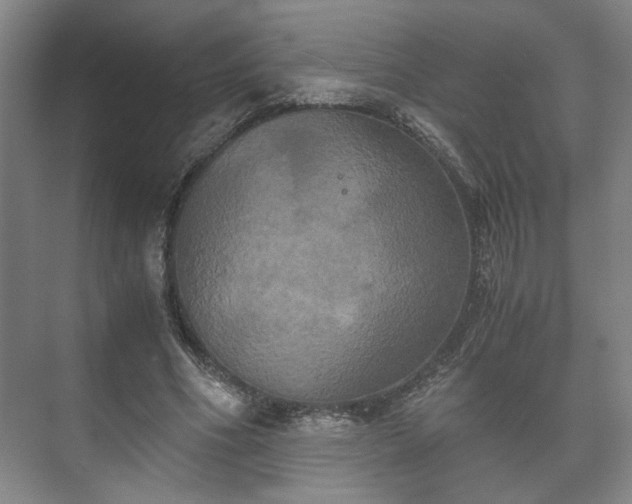 X0000073410586200608041000