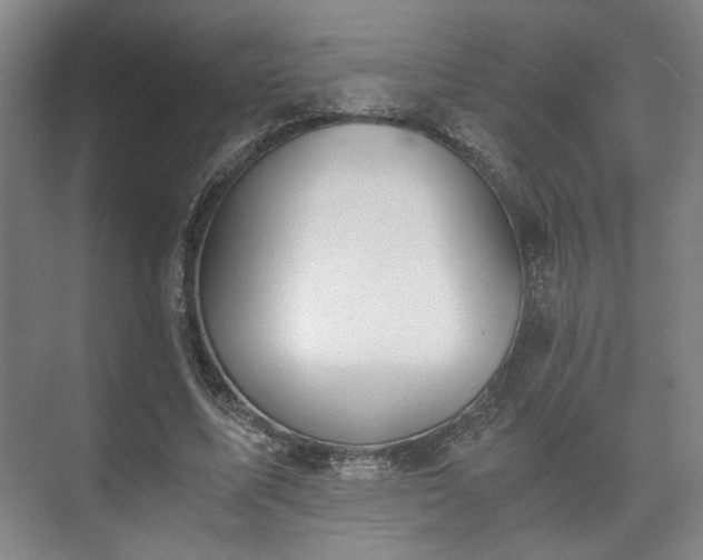 X0000073410587200608041000