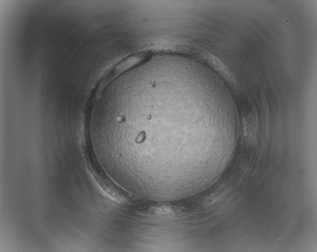 X0000073410588200608041000