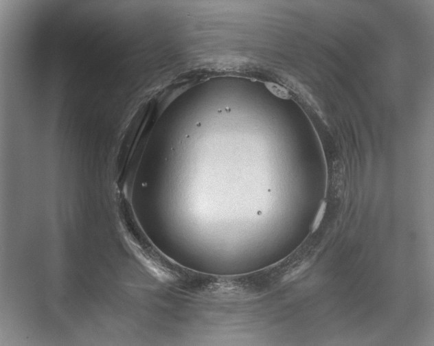 X0000073410589200608041000