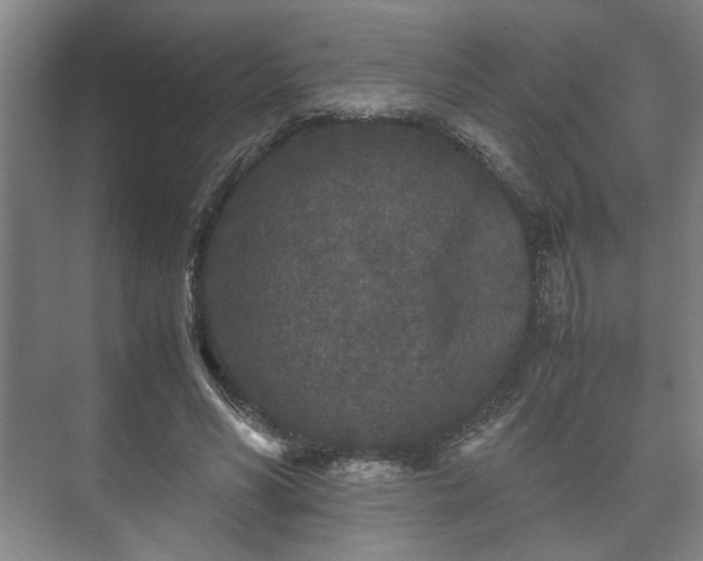 X0000073410590200608041000