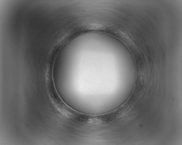 X0000073410591200608041000