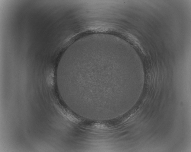 X0000073410596200608041000