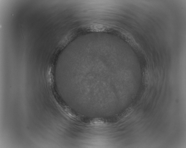 X0000073410598200608041000