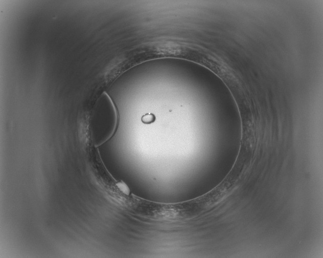 X0000073410600200608041000