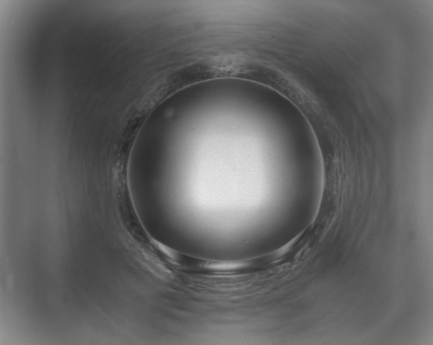 X0000073410601200608041000