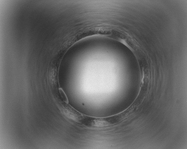 X0000073410605200608041000