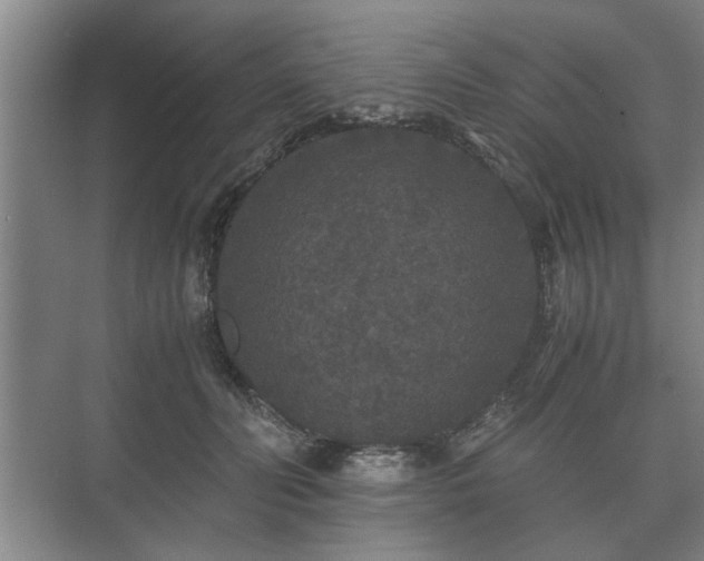 X0000073410606200608041000