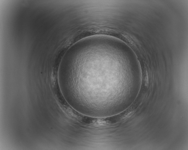 X0000073410607200608041000