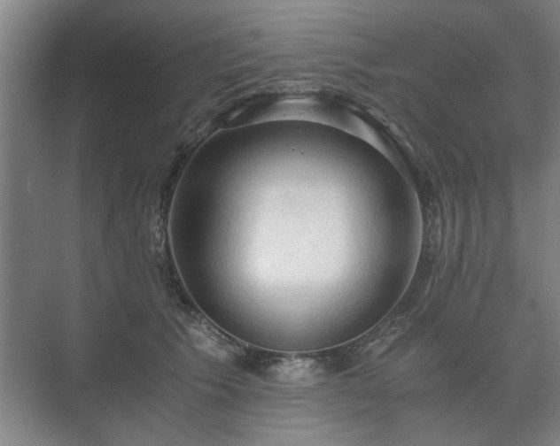 X0000073410609200608041000