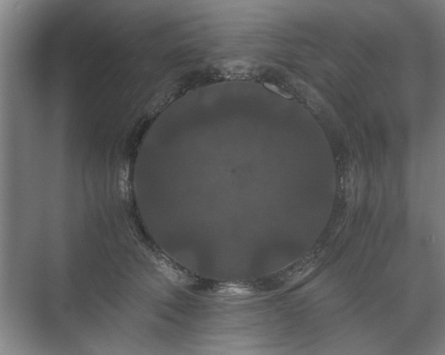 X0000073410610200608041000