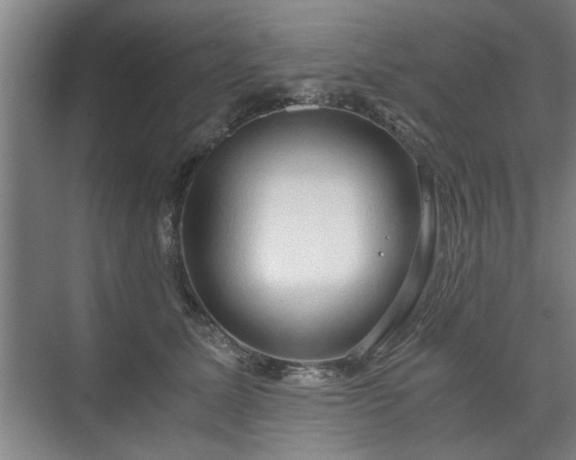 X0000073410611200608041000