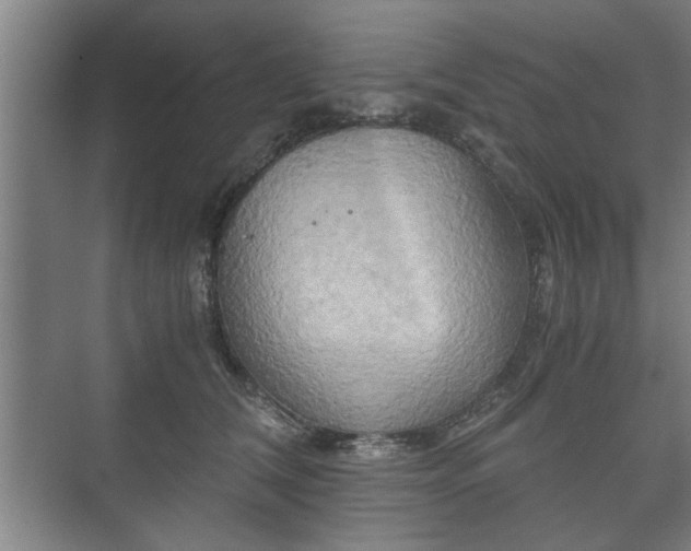 X0000073410612200608041000