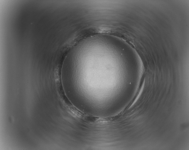 X0000073410620200608041000