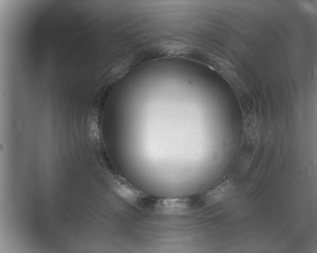 X0000073410622200608041000