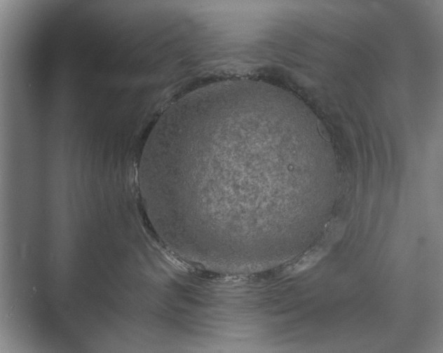 X0000073410624200608041000