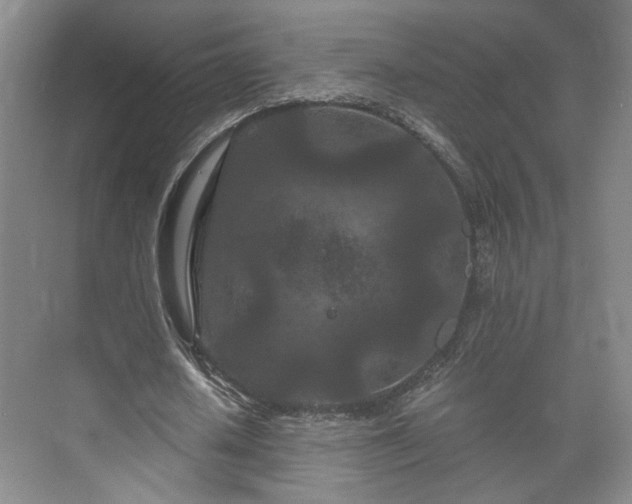 X0000073410626200608040959