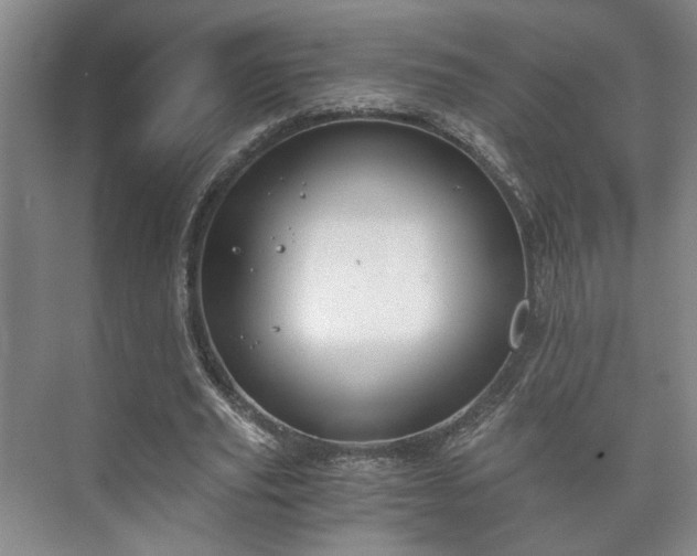 X0000073410629200608040959