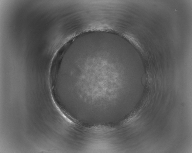 X0000073410630200608040959