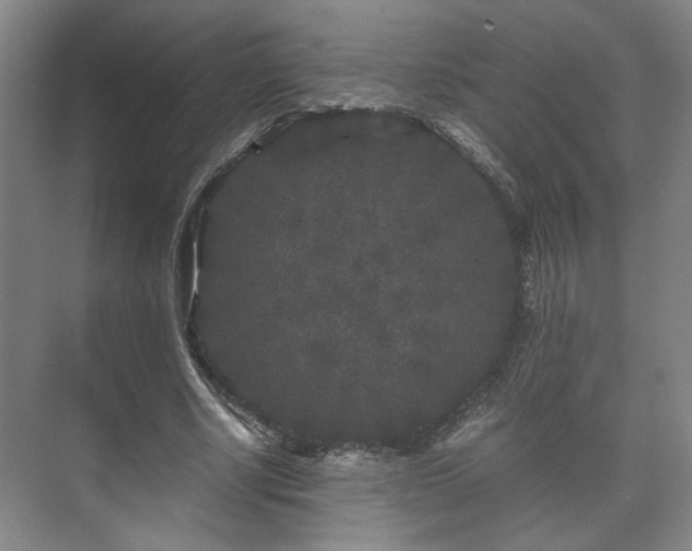 X0000073410634200608040959