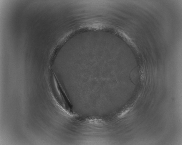 X0000073410637200608040959