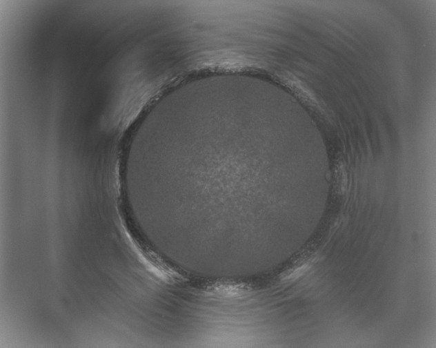 X0000073410638200608040959