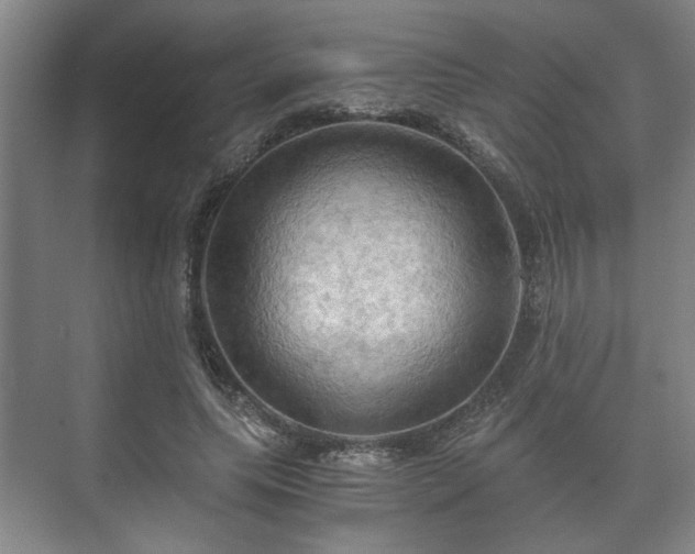 X0000073410639200608040959