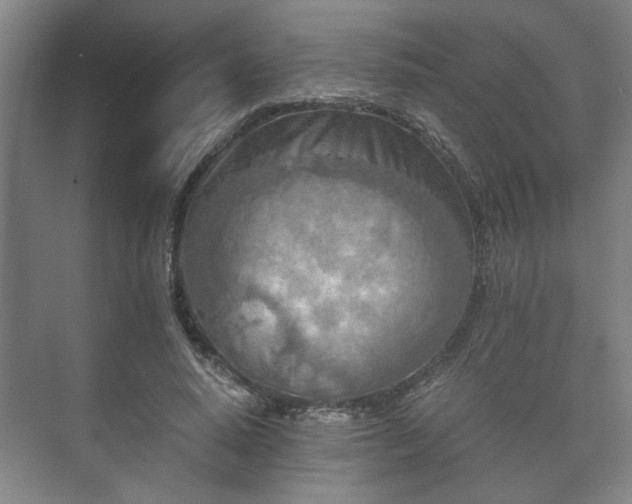 X0000073410640200608040959