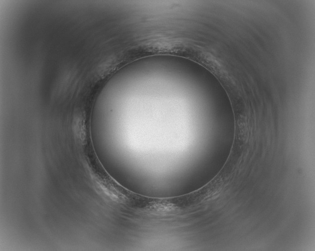 X0000073410642200608040959