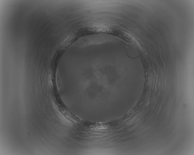 X0000073410643200608040959