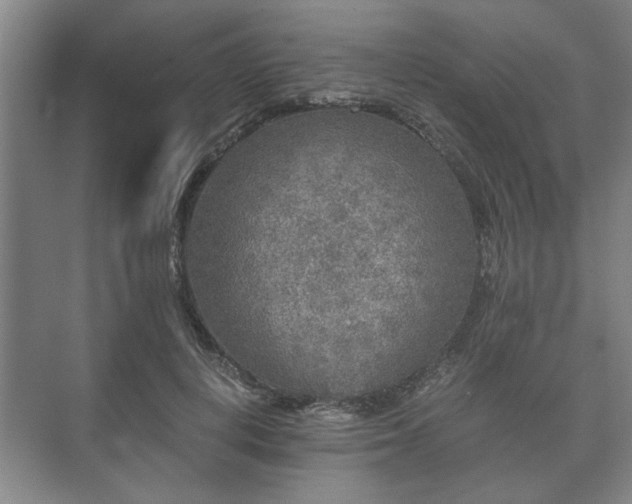 X0000073410648200608040959