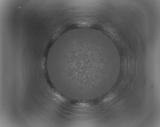 X0000073410649200608040959