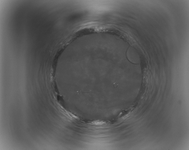 X0000073410650200608040959