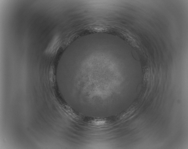 X0000073410651200608040959