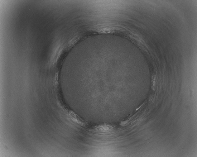 X0000073410652200608040959