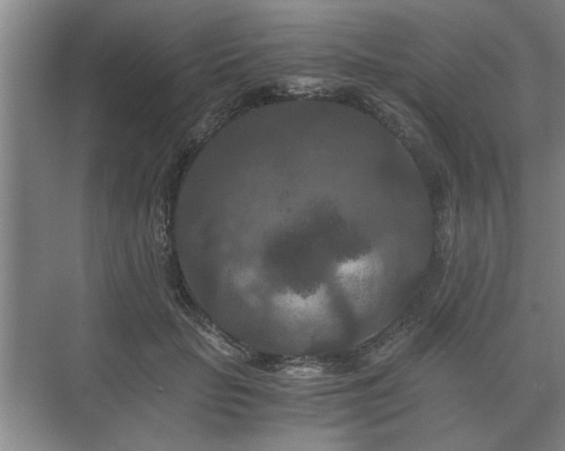 X0000073410653200608040959