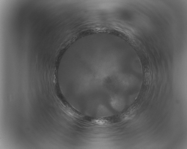 X0000073410654200608040959