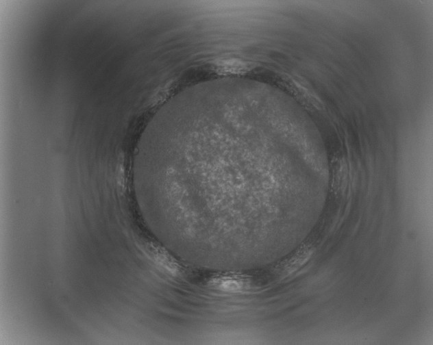 X0000073410655200608040959