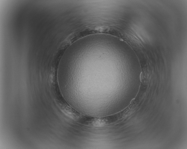 X0000073410656200608040959