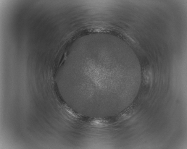 X0000073410657200608041000