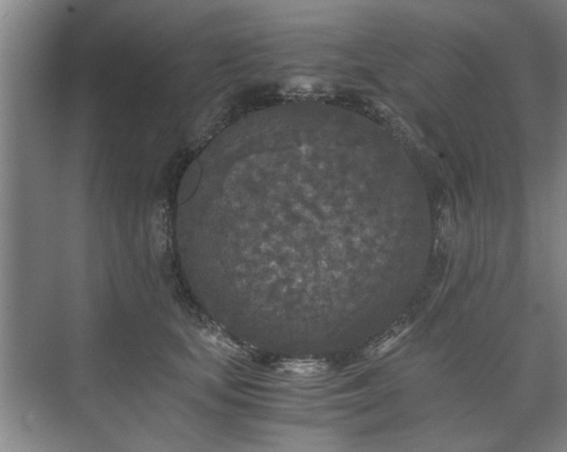 X0000073410659200608041000